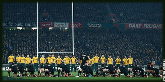 New Zealand Australia Bledisloe Cup The Rugby Championship 2014